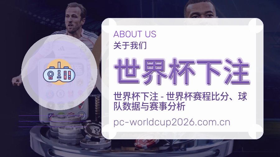 体育赛事内容整理与品牌服务团队